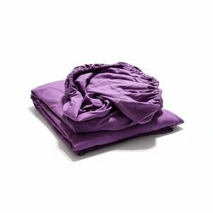 Sonoro Kate King Size Deep Pocket Purple Microfiber Polyester Bed Sheet